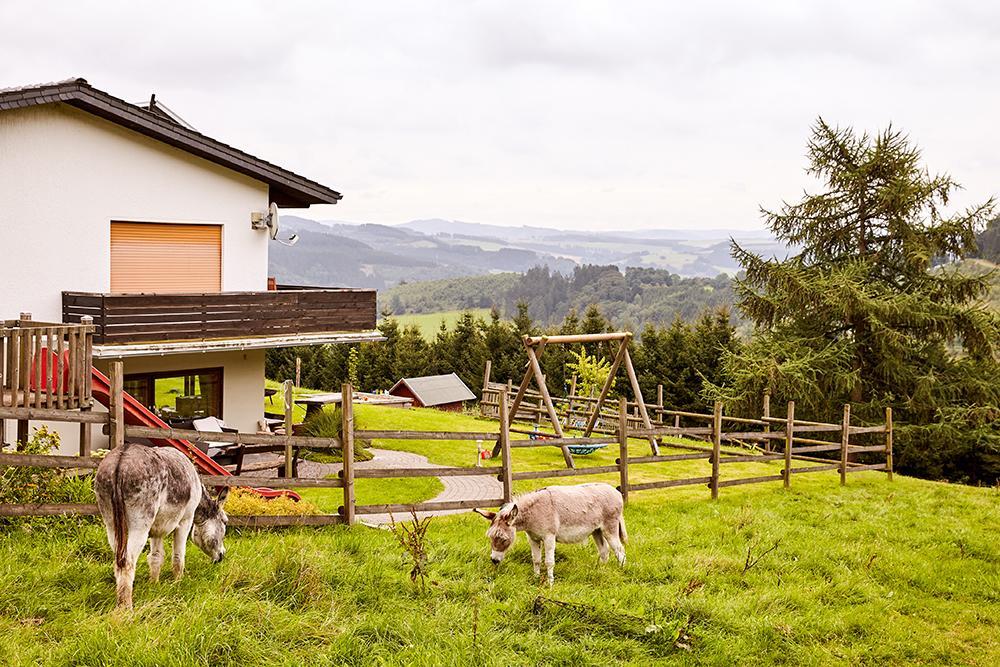 Pension Haus Am Einberg Meschede Eksteriør bilde